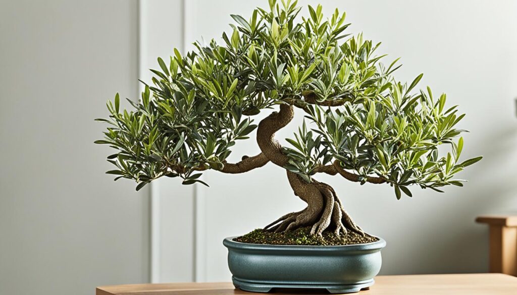 Τεχνητά Φυτά Διακόσμησης: Ελιές Τεχνητές Bonsai